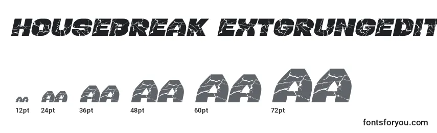 Housebreak ExtGrungedItalic Font Sizes