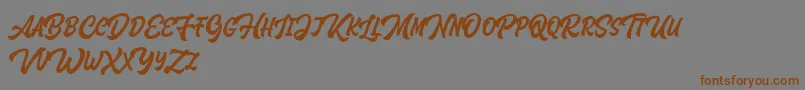 Шрифт Houstander Allcaps Demo – коричневые шрифты на сером фоне