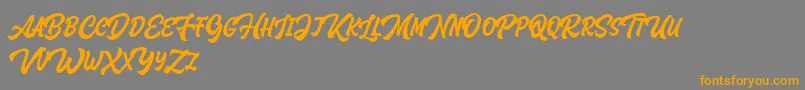 Houstander Allcaps Demo Font – Orange Fonts on Gray Background