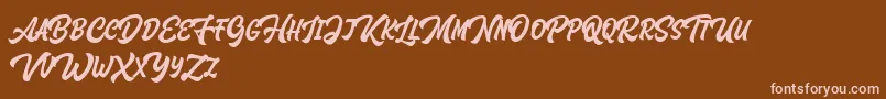 Houstander Allcaps Demo-Schriftart – Rosa Schriften auf braunem Hintergrund