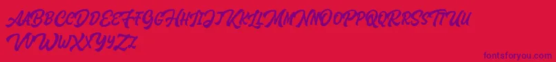 Houstander Allcaps Demo Font – Purple Fonts on Red Background