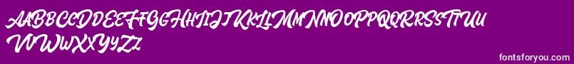 Houstander Allcaps Demo-Schriftart – Weiße Schriften auf violettem Hintergrund