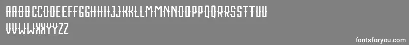 Houston Sport Free Font – White Fonts on Gray Background