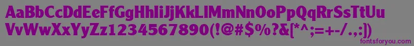 ClearfaceGothicLt95Black Font – Purple Fonts on Gray Background