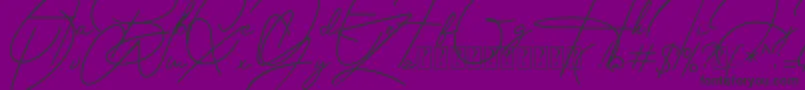 Housttely Signature Font – Black Fonts on Purple Background