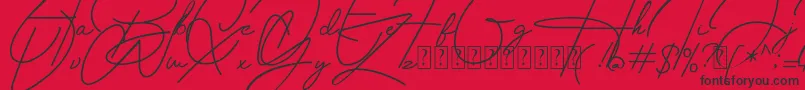 フォントHousttely Signature – 赤い背景に黒い文字