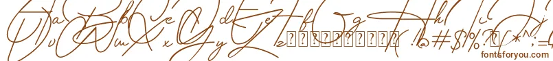Housttely Signature Font – Brown Fonts