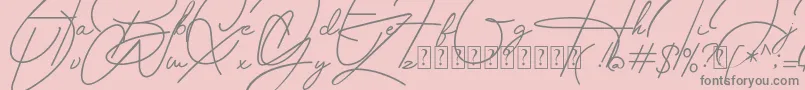 Housttely Signature Font – Gray Fonts on Pink Background