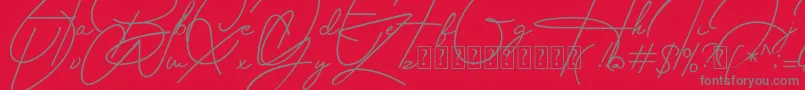 Housttely Signature Font – Gray Fonts on Red Background