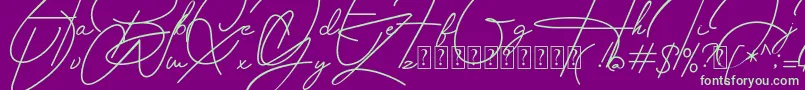 Housttely Signature-Schriftart – Grüne Schriften auf violettem Hintergrund