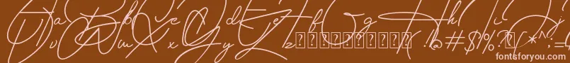 Housttely Signature Font – Pink Fonts on Brown Background