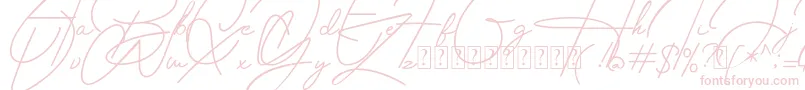 Housttely Signature Font – Pink Fonts on White Background