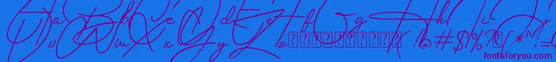 Housttely Signature Font – Purple Fonts on Blue Background