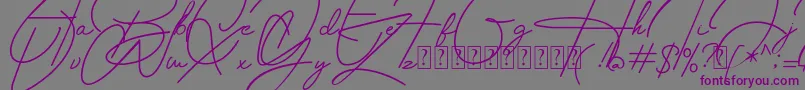 Housttely Signature Font – Purple Fonts on Gray Background