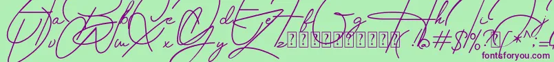 Housttely Signature Font – Purple Fonts on Green Background