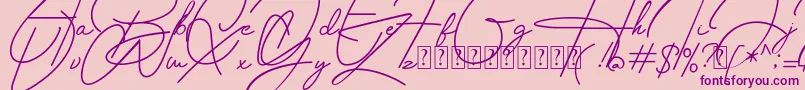 Housttely Signature Font – Purple Fonts on Pink Background