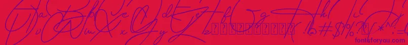 Housttely Signature Font – Purple Fonts on Red Background
