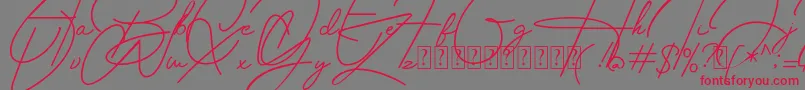 Housttely Signature-Schriftart – Rote Schriften auf grauem Hintergrund