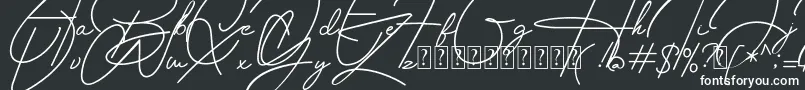 Weitere Informationen zur Housttely Signature-Schriftart Housttely Signature-Schriftart – Weiße Schriften