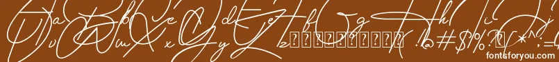 Housttely Signature Font – White Fonts on Brown Background