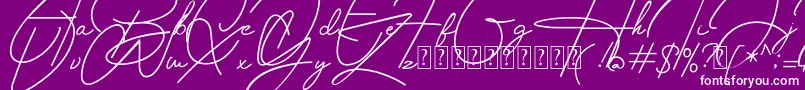 Housttely Signature Font – White Fonts on Purple Background