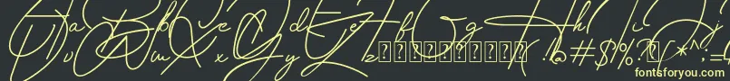 Housttely Signature Font – Yellow Fonts on Black Background