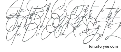 Czcionka Housttely Signature