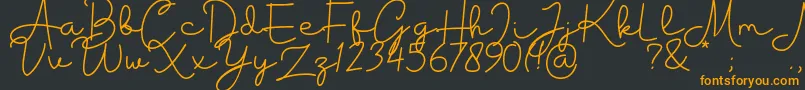 Housttik Personal Use-Schriftart – Orangefarbene Schriften auf schwarzem Hintergrund