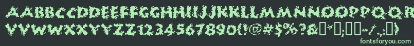 HUCKB    Font – Green Fonts on Black Background