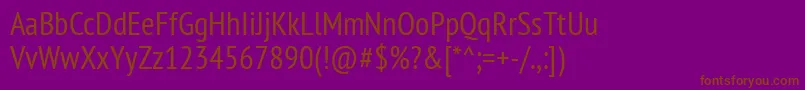 PtSansNarrow Font – Brown Fonts on Purple Background