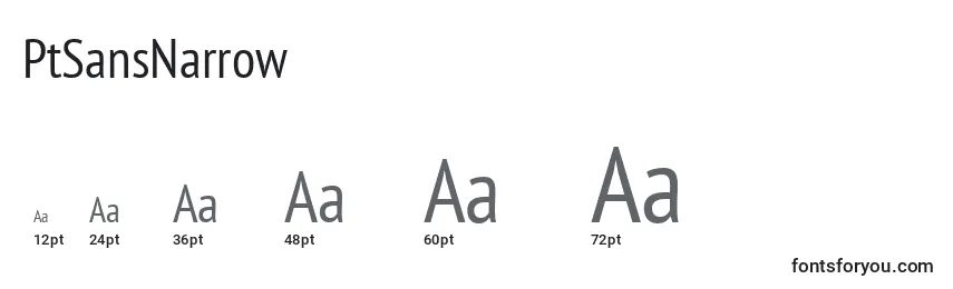 PtSansNarrow Font Sizes