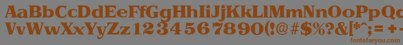 PriamosserialHeavyRegular Font – Brown Fonts on Gray Background