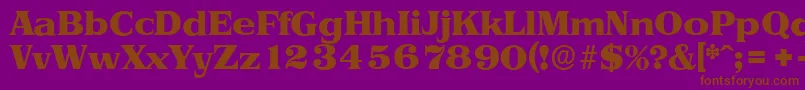 PriamosserialHeavyRegular Font – Brown Fonts on Purple Background