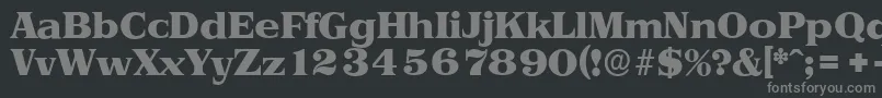 PriamosserialHeavyRegular Font – Gray Fonts on Black Background