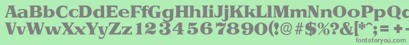 PriamosserialHeavyRegular Font – Gray Fonts on Green Background