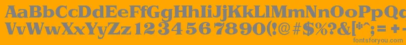 PriamosserialHeavyRegular Font – Gray Fonts on Orange Background