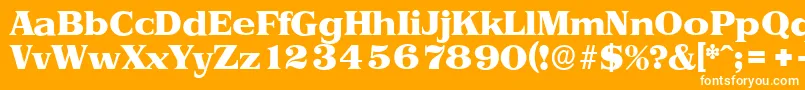 PriamosserialHeavyRegular Font – White Fonts on Orange Background