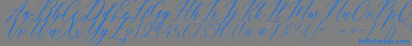 Police Humairah Script – polices bleues sur fond gris