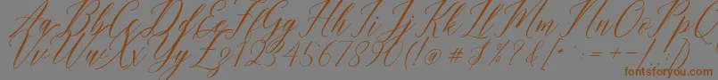 Humairah Script Font – Brown Fonts on Gray Background
