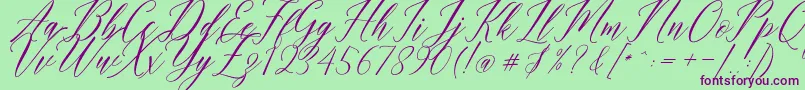 Humairah Script Font – Purple Fonts on Green Background