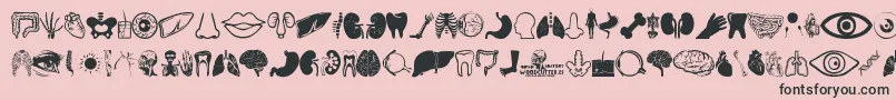 Human Anatomy Font – Black Fonts on Pink Background