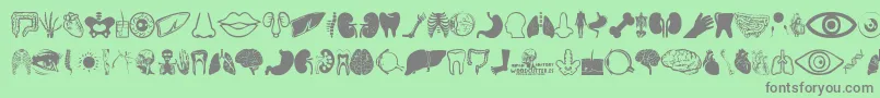 Fonte Human Anatomy – fontes cinzas em um fundo verde