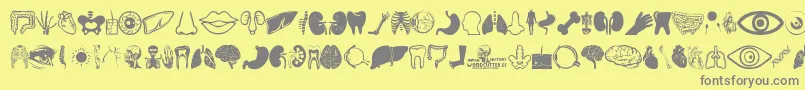 Human Anatomy Font – Gray Fonts on Yellow Background