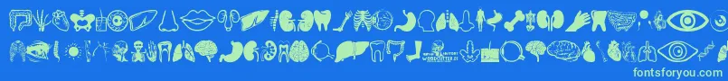 Human Anatomy Font – Green Fonts on Blue Background