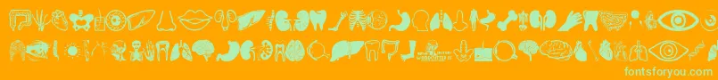 Human Anatomy Font – Green Fonts on Orange Background