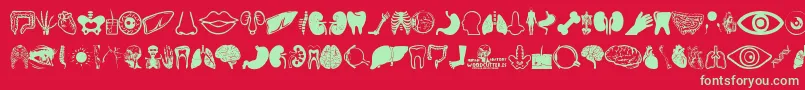 Human Anatomy Font – Green Fonts on Red Background