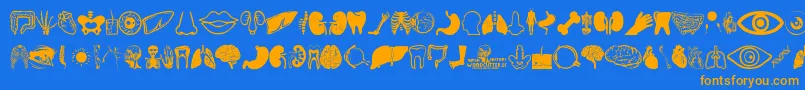 Human Anatomy Font – Orange Fonts on Blue Background