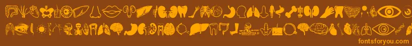 Human Anatomy Font – Orange Fonts on Brown Background