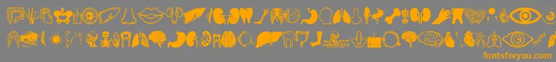 Human Anatomy Font – Orange Fonts on Gray Background