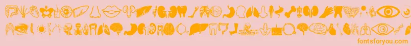 Human Anatomy Font – Orange Fonts on Pink Background